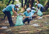 All Clear Environmental Services, LLC environmental cleanup