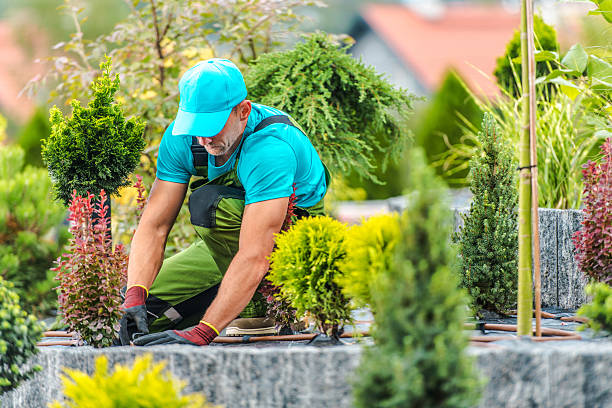 istockphoto 2225845050 612x612 1