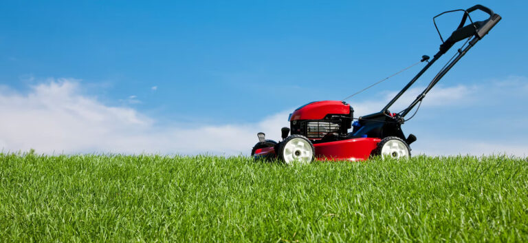 67f96ac204c24daea68363c3c969669a 768x353