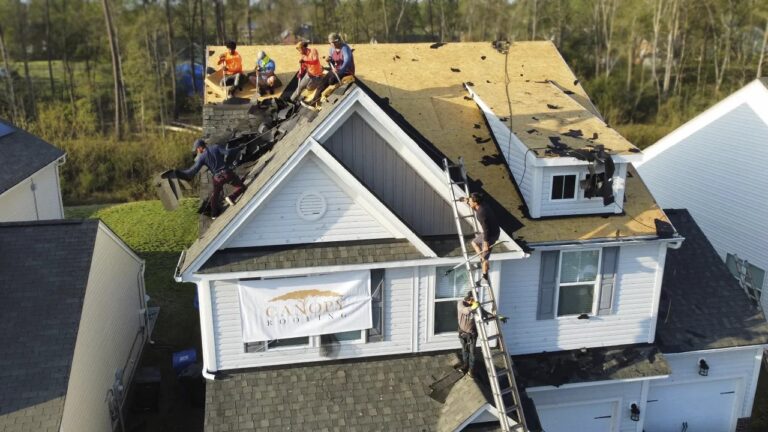 additional photo 3 1 768x432