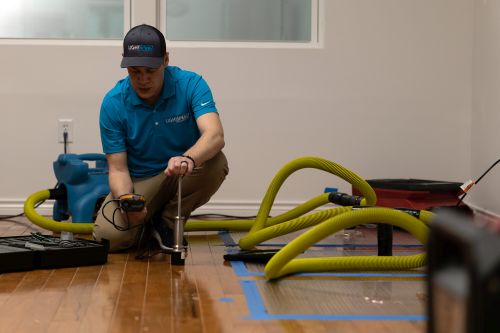 NXqNavl8r9au7glbw936V6OqPF97DxgKvU2O3fWF