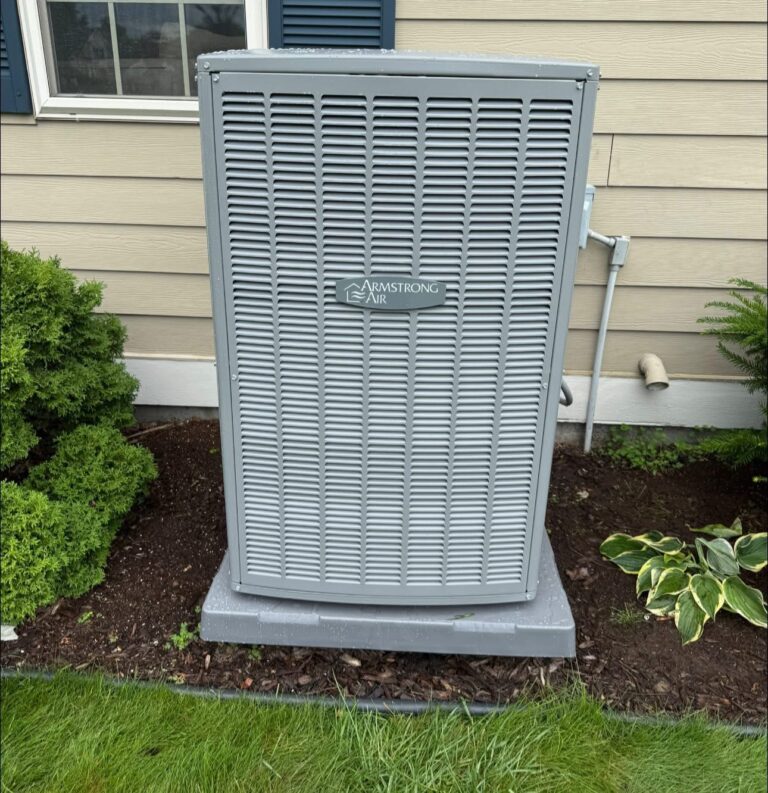 additional photo 4 1 768x793