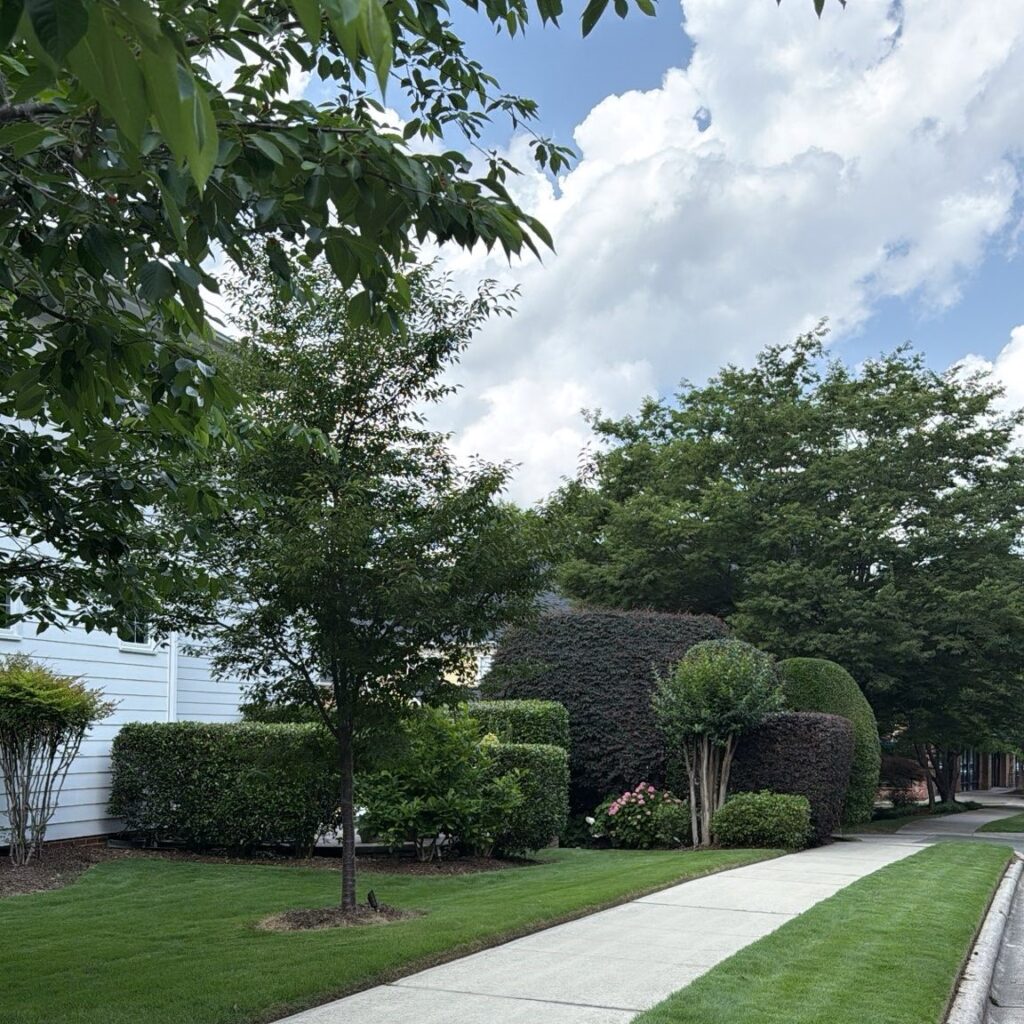 MC Landscaping & Hardscape -