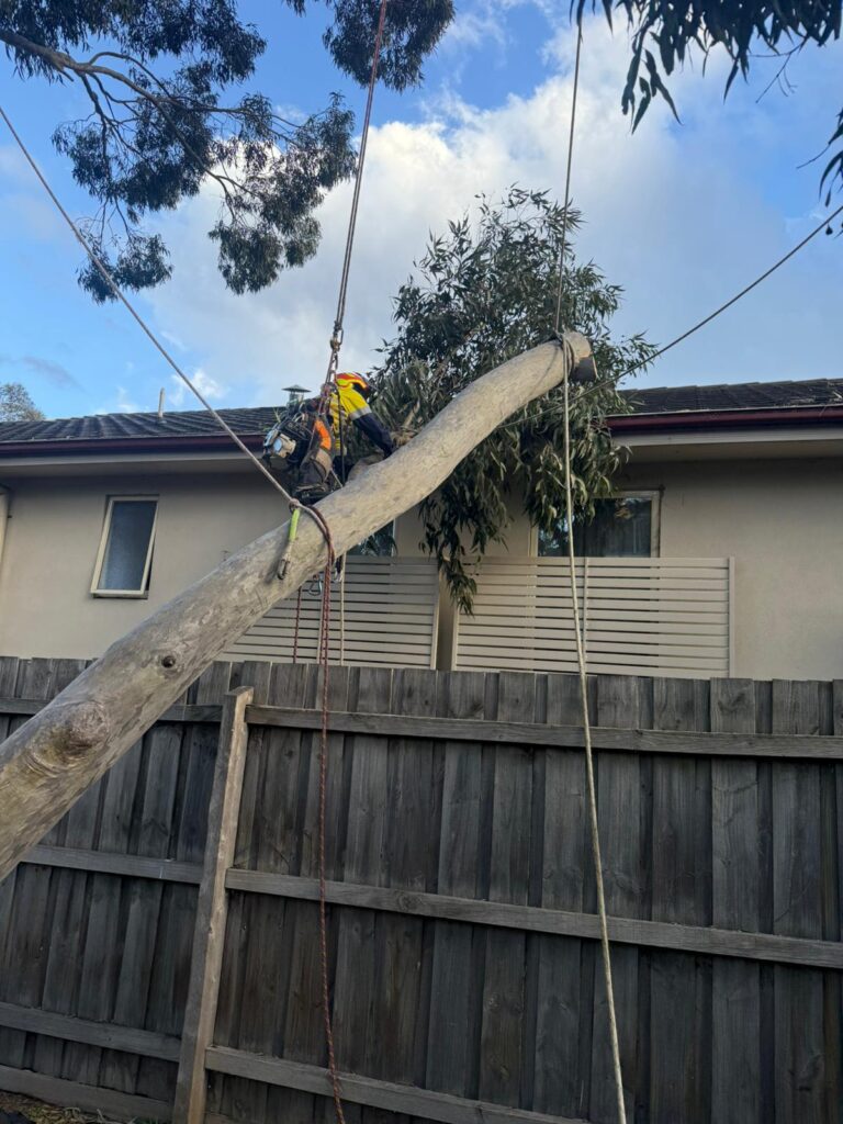 emergency call outs melbourne 768x1024