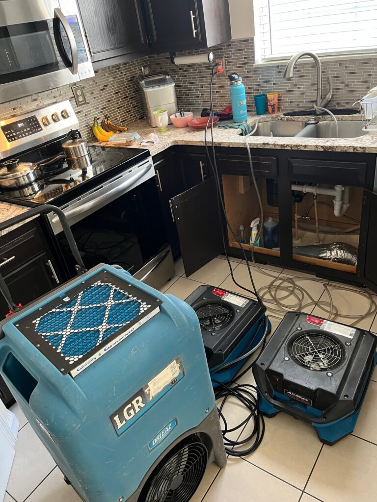 smL5vnlDpKTfULsDGcYr5om6sHoAG6x3KyBOTyHy8t 768x1024