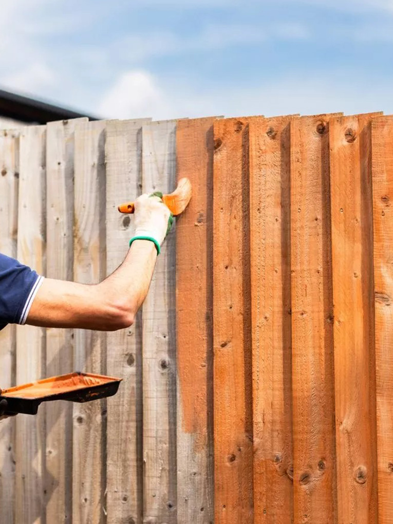 Fence Painting