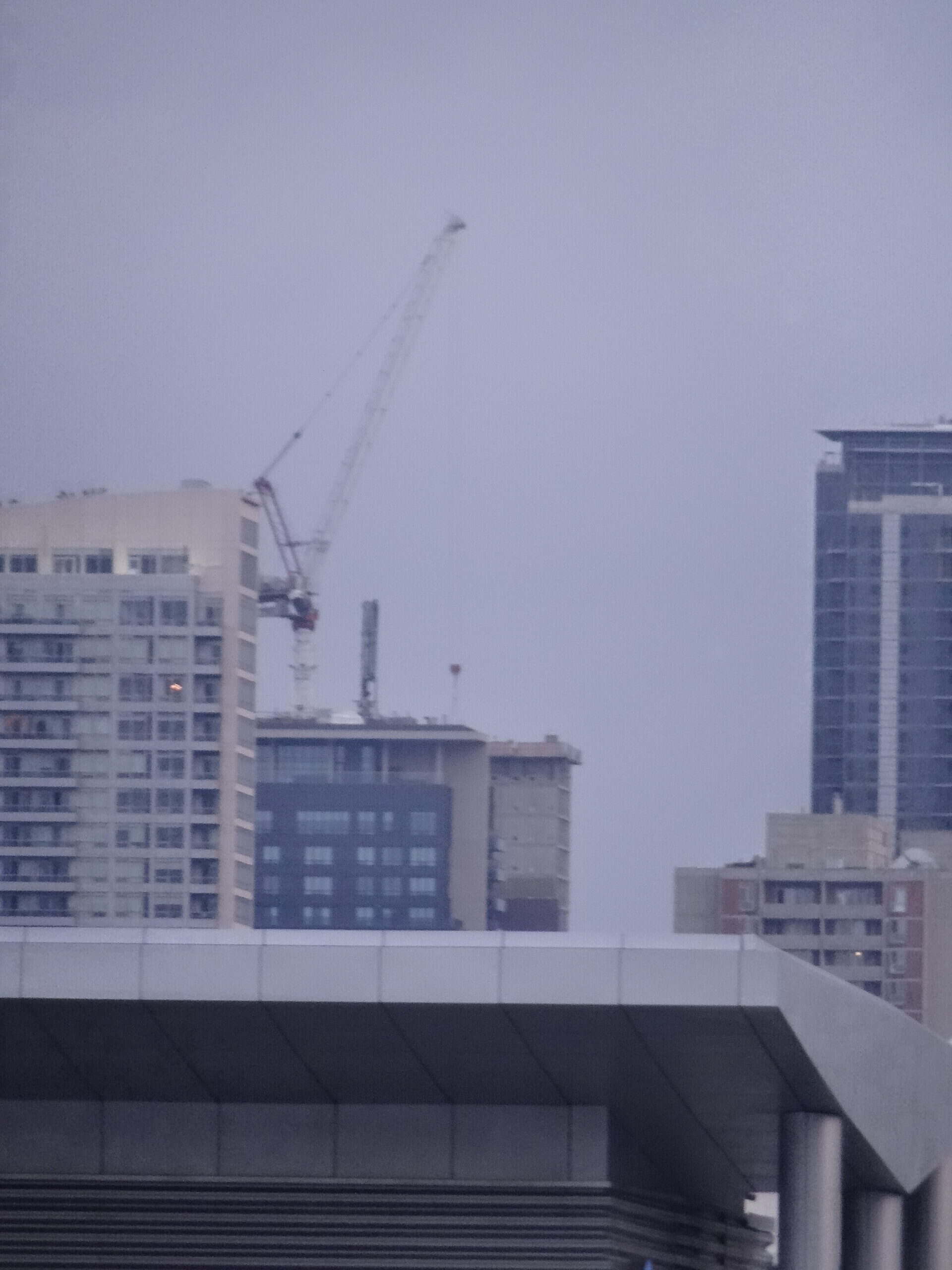 Tower cranes silhouetted against a downtown skyline