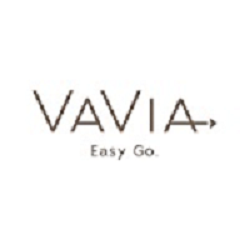 VaVia Dumpster Rental — Demolition & Disposal 