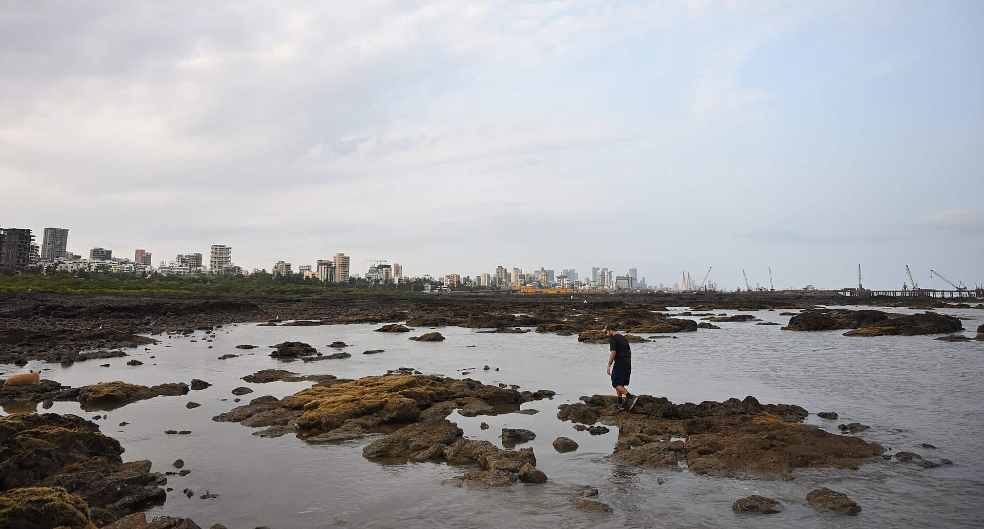 Mumbai Coastal Road and the city skyline seen from Carter Road, Bandra