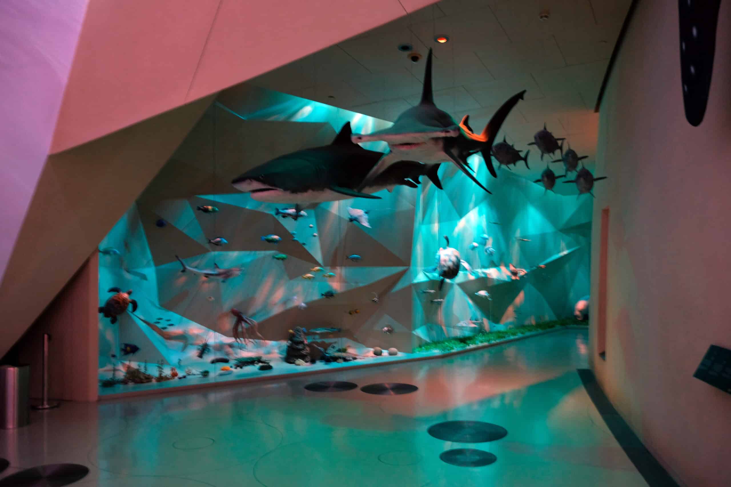 Interlocking disc facade of the National Museum of Qatar in Doha