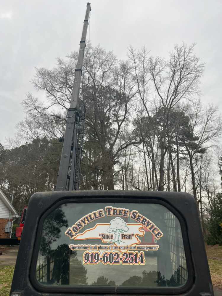Fonville Tree Service — Site Works & Landscaping 