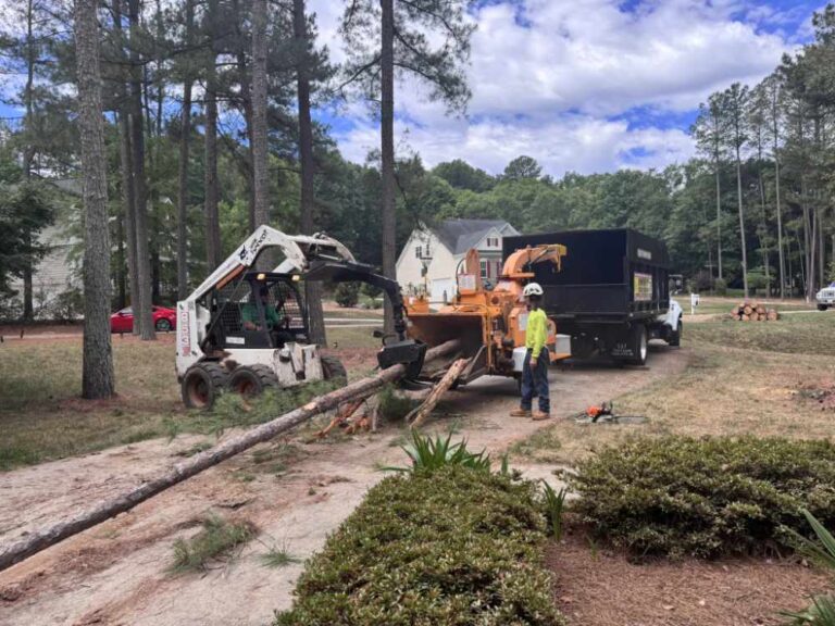 Fonville Tree Service additional photo 4 768x576