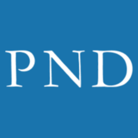 PND Engineers logo