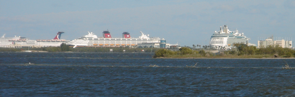 Projects Cruise ships berthed at Port Canaveral, Florida