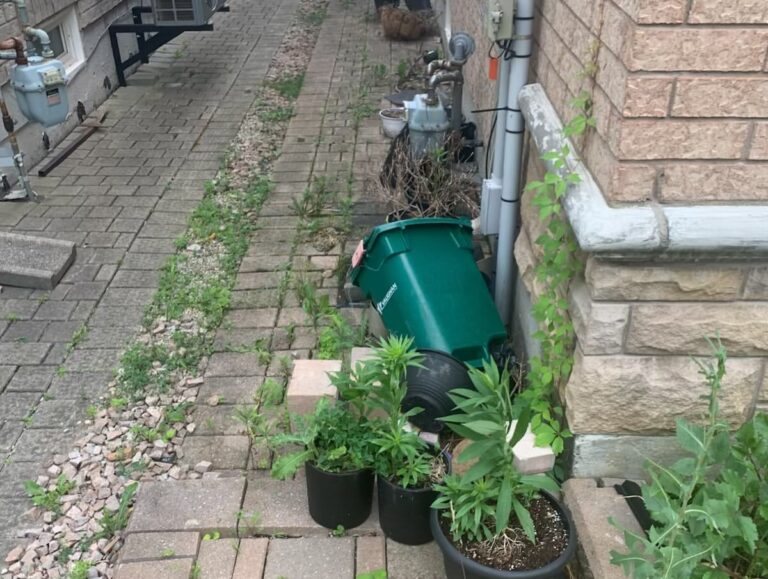 Another Toronto job complete Our crew knocked this one out on the weekend—before after shots 1 768x579