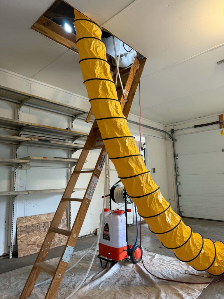 Eugene Mold Pros additional photo 228 768x1024