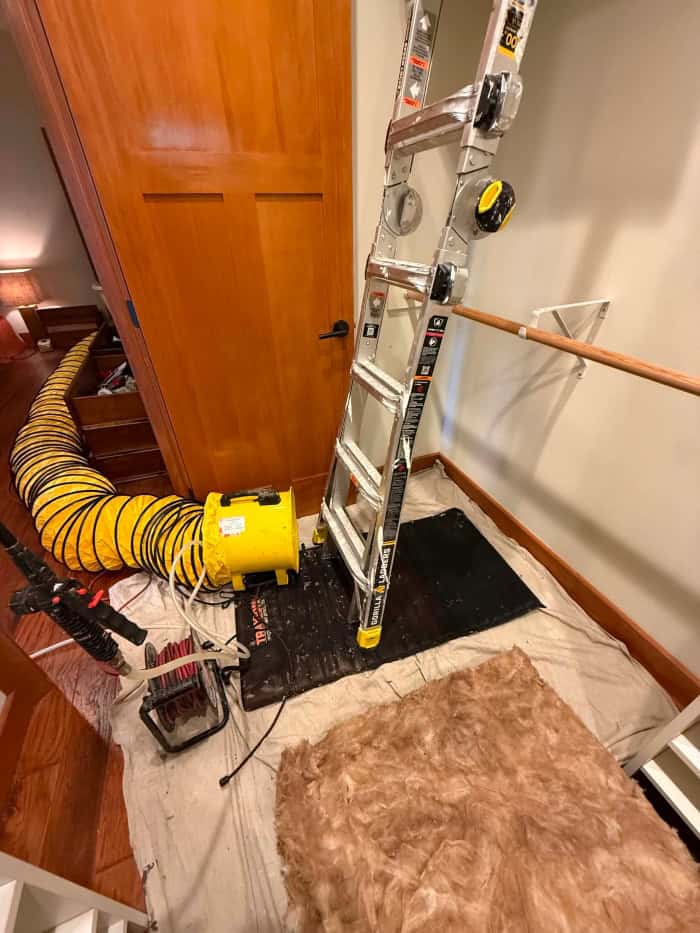 Eugene Mold Pros — Restoration 