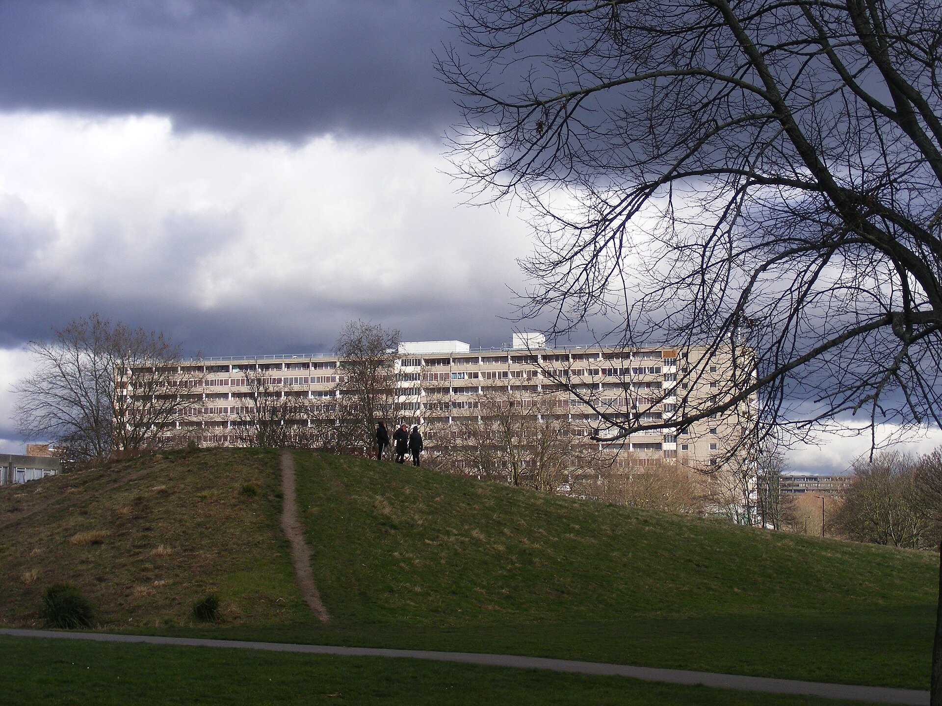 Concrete slab blocks of the Aylesbury Estate in Walworth, south London, seen across Burgess Park