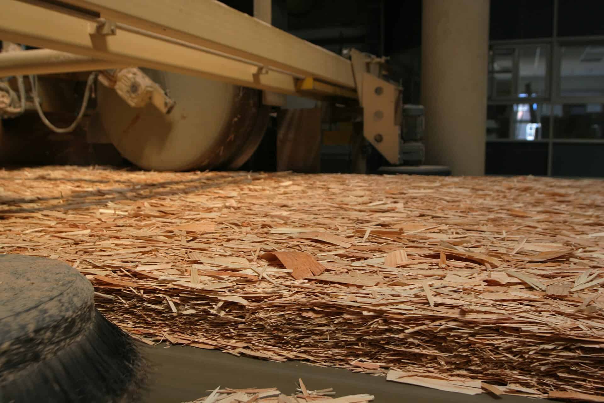 A mat of wood strands moves along a mill production line during oriented strand board manufacturing